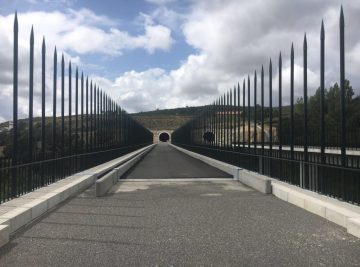 blog-8m